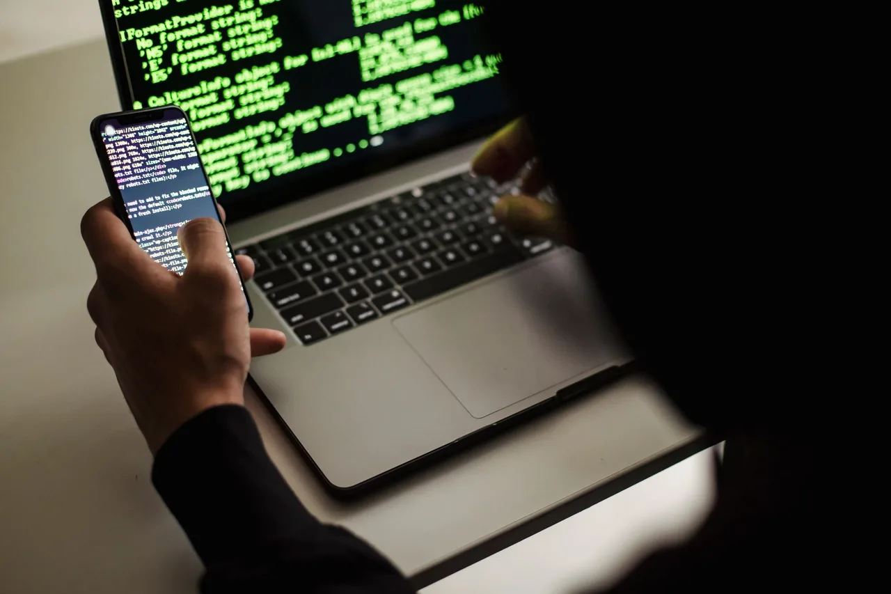 Sitem Hacklendi: Zararlı Yazılım Bulaştığında İlk 24 Saat